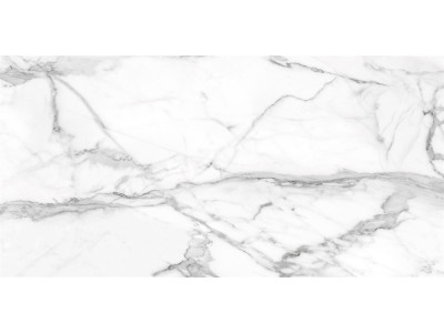 SM01 60x120x10 Непол.Рект. Platinum
