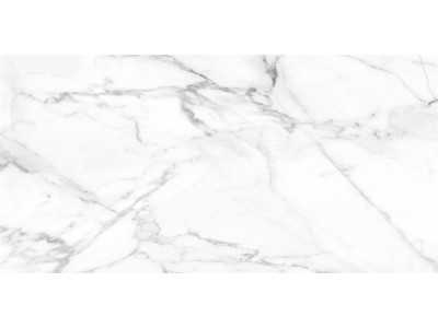 SM01 60x120x10 Непол.Рект. Platinum
