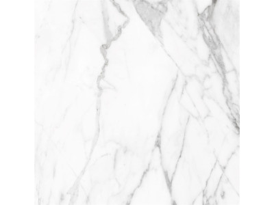 SM01 60x60x10 Непол.Рект. Platinum
