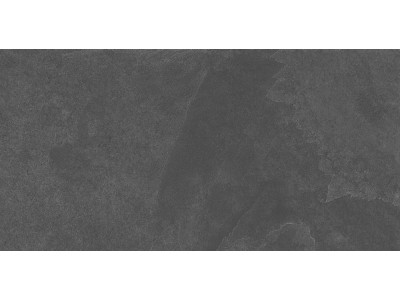 TE04 60x120x10 Непол.Рект. Black
