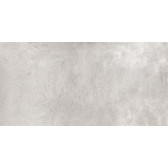 TF01 60x120x10 Непол.Рект. Grey
