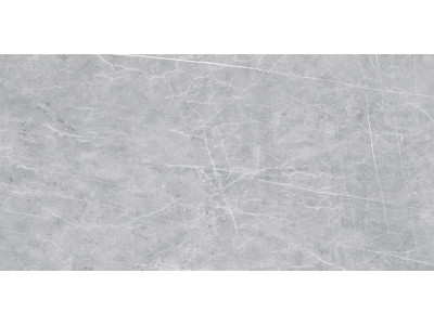 VS02 60x120x10 Полир. Grey
