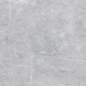VS02 60x60 Полир. Grey
