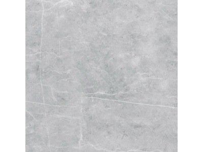 VS02 60x60 Полир. Grey
