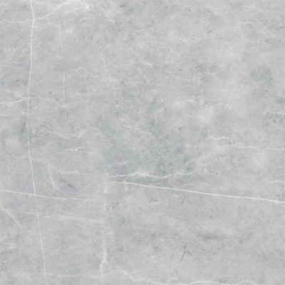 VS02 60x60 Полир. Grey
