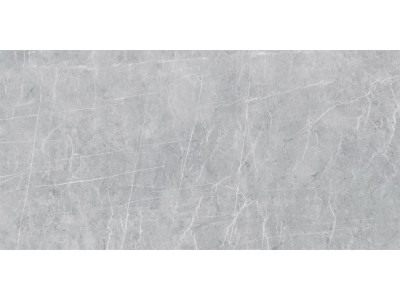VS02 60x120x10 Полир. Grey
