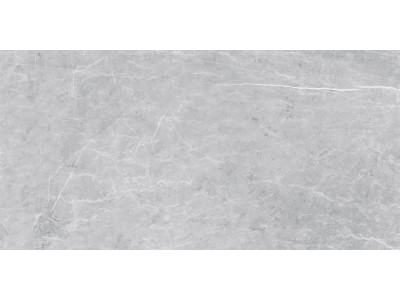 VS02 60x120x10 Полир. Grey
