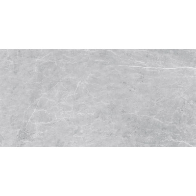 VS02 60x120x10 Полир. Grey

