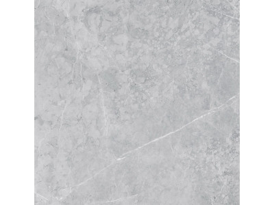 VS02 60x60 Полир. Grey
