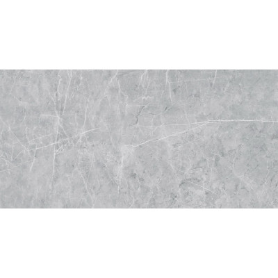 VS02 60x120x10 Полир. Grey
