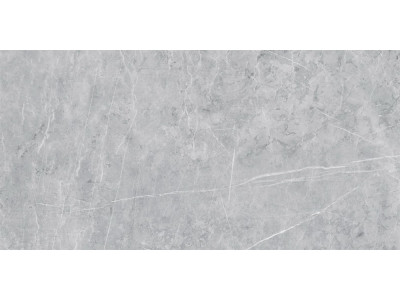 VS02 60x120x10 Полир. Grey
