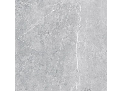VS02 60x60 Полир. Grey
