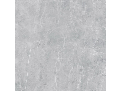 VS02 60x60 Полир. Grey
