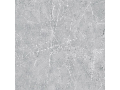 VS02 60x60 Полир. Grey
