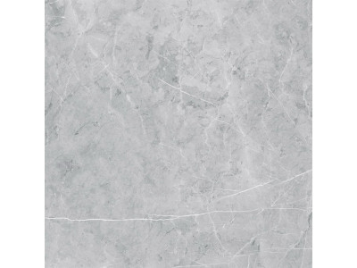 VS02 60x60 Полир. Grey
