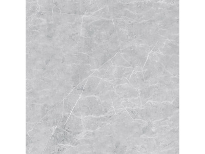VS02 60x60 Полир. Grey
