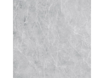 VS02 60x60 Полир. Grey
