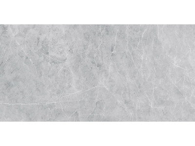 VS02 60x120x10 Полир. Grey
