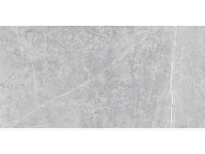 VS02 60x120x10 Полир. Grey
