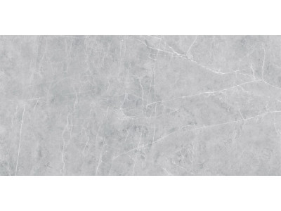 VS02 60x120x10 Полир. Grey
