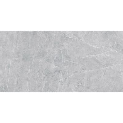VS02 60x120x10 Полир. Grey

