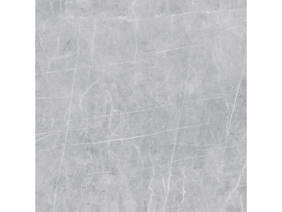 VS02 60x60 Полир. Grey
