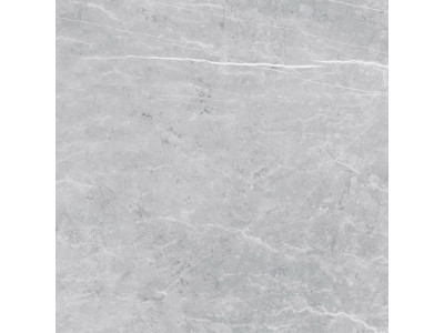 VS02 60x60 Полир. Grey
