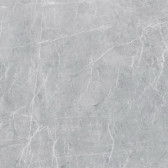 VS02 60x60 Полир. Grey
