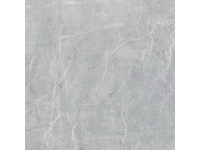 VS02 60x60 Полир. Grey
