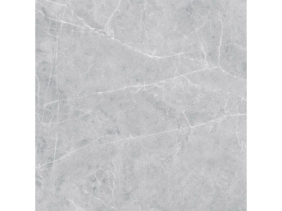VS02 60x60 Полир. Grey
