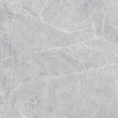 VS02 60x60 Полир. Grey
