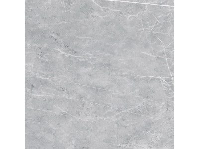 VS02 60x60 Полир. Grey
