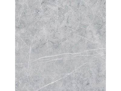 VS02 60x60 Полир. Grey
