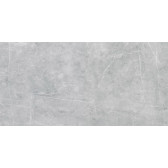VS02 60x120x10 Полир. Grey
