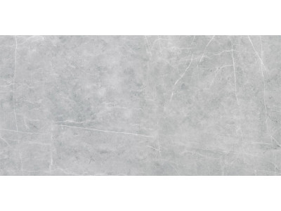 VS02 60x120x10 Полир. Grey
