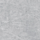 VS02 60x60 Полир. Grey
