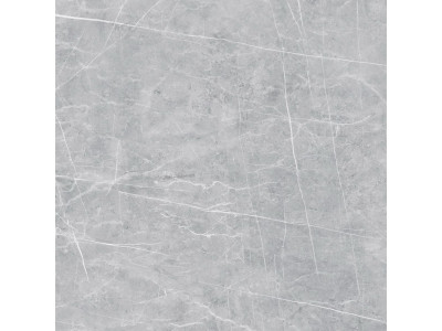 VS02 60x60 Полир. Grey
