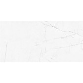 VS01 60x120x10 Непол.Рект. White

