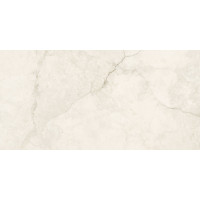 КЕРАМОГРАНИТ ETERNA BONE БЕЖЕВЫЙ 60x120
