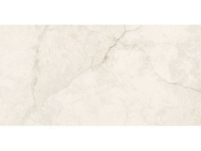 КЕРАМОГРАНИТ ETERNA BONE БЕЖЕВЫЙ 60x120
