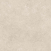 TALO TAUPE 60*60