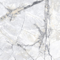 Керамогранит BORGIA BLANCO 60*60 (10 видов рисунка)
