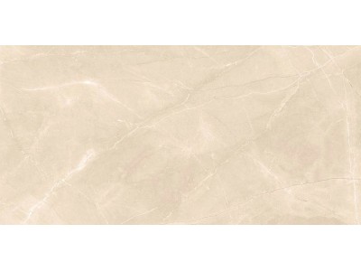 Керамогранит Ivory Moon Carving 60*120