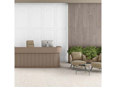 КЕРАМОГРАНИТ TEMPERANCE ELEGANCE WHITE БЕЛЫЙ BOISERIE FULLBODY RELIEF MATT 60x120