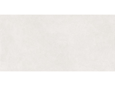 Керамогранит Aster Dew Fullbody Carving 60*120