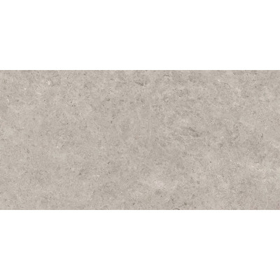 Seashell Natural R10 Carving 60*120