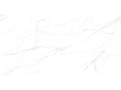 Керамогранит STATUARIO ROCK GLOSSY 80*160 (4 видов рисунка)

