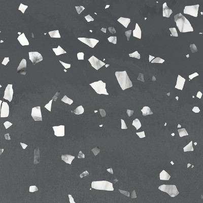 Terratile Nero 60*60
