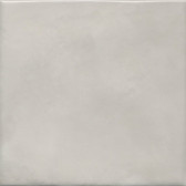 Адриатика серый глянцевый 20x20x0,69

