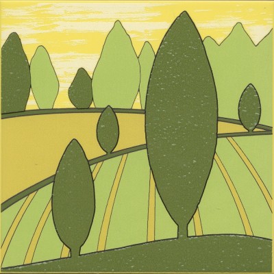 Бардини 3 20x20x0,69